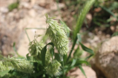 General View, April. This photo is available under the Creative Commons CC-BY-NC 4.0 License.