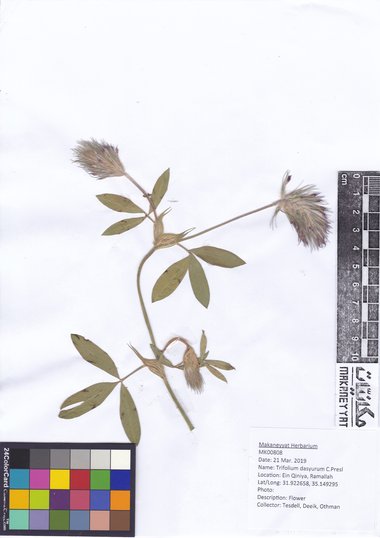 هذه الصورة مرخصة تحت المشاع الإبداعي نسب المصنف - غير تجاري 4.0