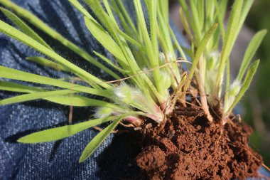 الأوراق، شهر آذار. هذه الصورة مرخصة تحت المشاع الاٍبداعي نسب المصنف - غير تجاري 4.0