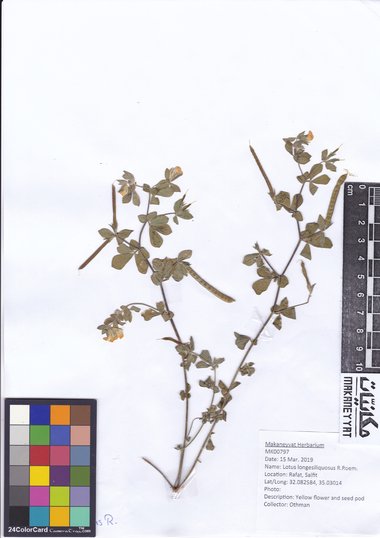 This photo is available under the Creative Commons CC-BY-NC 4.0 License.