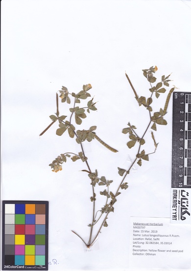 This photo is available under the Creative Commons CC-BY-NC 4.0 License.