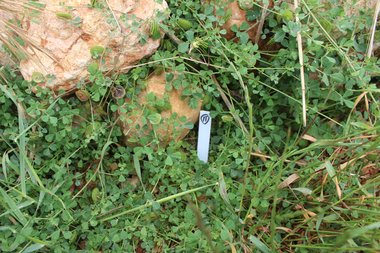 صورة عامة، شهر نيسان. هذه الصورة مرخصة تحت المشاع الاٍبداعي نسب المصنف - غير تجاري 4.0