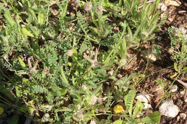 General View, April. This photo is available under the Creative Commons CC-BY-NC 4.0 License.