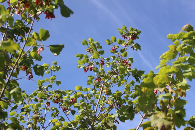 General View, April. This photo is available under the Creative Commons CC-BY-NC 4.0 License.