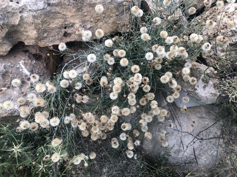 صورة عامة، شهر أيار. هذه الصورة مرخصة تحت المشاع الاٍبداعي نسب المصنف - غير تجاري 4.0