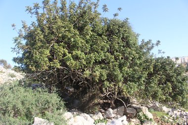 صورة عامة، شهر نيسان. هذه الصورة مرخصة تحت المشاع الإبداعي نسب المصنف - غير تجاري 4.0