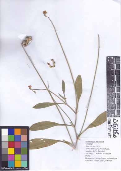 This photo is available under the Creative Commons CC-BY-NC 4.0 License.