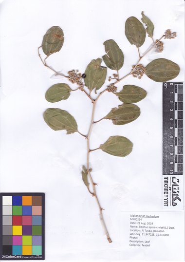 هذه الصورة مرخصة تحت المشاع الإبداعي نسب المصنف - غير تجاري 4.0 .