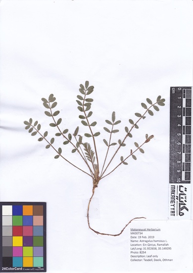 This photo is available under the Creative Commons CC-BY-NC 4.0 License.