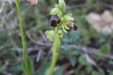 صورة عامة، شهر كانون الثاني. هذه الصورة مرخصة تحت المشاع الاٍبداعي نسب المصنف - غير تجاري 4.0