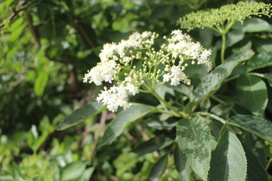 General View, April. This photo is available under the Creative Commons CC-BY-NC 4.0 License.