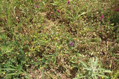 نظرة عامة، شهر نيسان. هذه الصورة مرخصة تحت المشاع الاٍبداعي نسب المصنف - غير تجاري 4.0