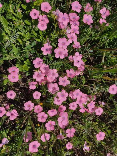 General View, March. This photo is available under the Creative Commons CC-BY-NC 4.0 License.