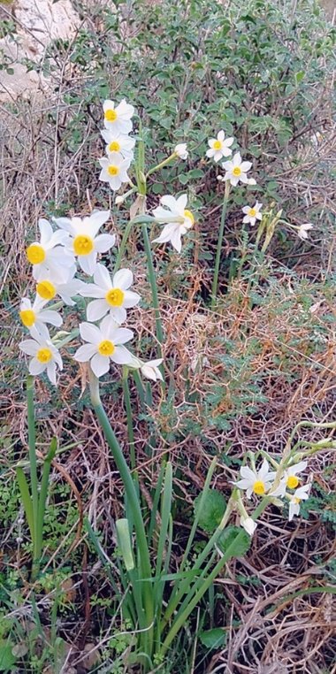 General View , December. This photo is available under the Creative Commons CC-BY-NC 4.0.