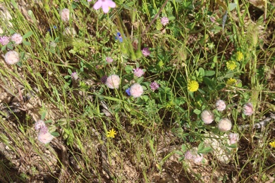 General View, April. This photo is available under the Creative Commons CC-BY-NC 4.0.