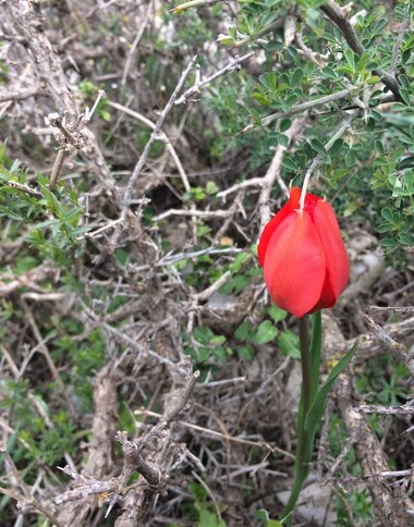 General View, March. This photo is available under the Creative Commons CC-BY-NC 4.0 License.