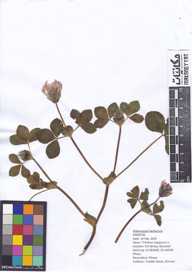 This photo is available under the Creative Commons CC-BY-NC 4.0 License.