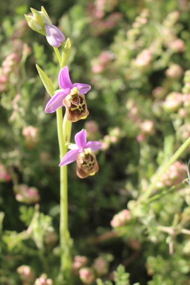 صورة عامة، شهر نيسان. هذه الصورة مرخصة تحت المشاع الاٍبداعي نسب المصنف - غير تجاري 4.0