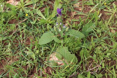 صورة عامة، شهر شباط. هذه الصورة مرخصة تحت المشاع الاٍبداعي نسب المصنف - غير تجاري 4.0