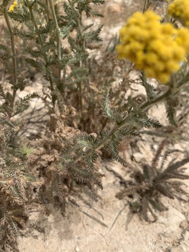 الاوراق، شهر ايار. هذه الصورة مرخصة تحت المشاع الاٍبداعي نسب المصنف - غير تجاري 4.0