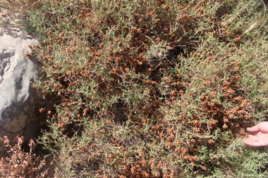 صورة عامة، شهر أيار. هذه الصورة مرخصة تحت المشاع الإبداعي نسب المصنف - غير تجاري 4.0