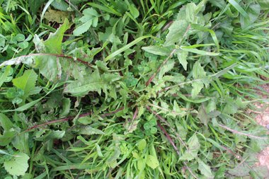 نظرة عامة، شهر شباط. هذه الصورة مرخصة تحت المشاع الاٍبداعي نسب المصنف - غير تجاري 4.0