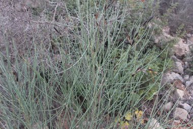 صورة عامة، شهر تموز. هذه الصورة مرخصة تحت المشاع الاٍبداعي نسب المصنف - غير تجاري 4.0