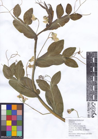 هذه الصورة مرخصة تحت المشاع الإبداعي نسب المصنف - غير تجاري 4.0 .