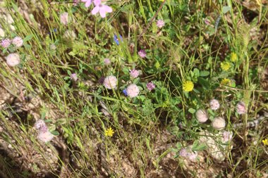 صورة عامة، شهر نيسان. هذه الصورة مرخصة تحت المشاع الاٍبداعي نسب المصنف - غير تجاري 4.0