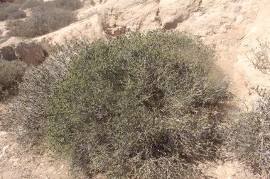 General View, September. This photo is available under the Creative Commons CC-BY-NC 4.0.