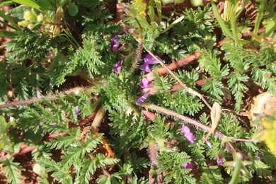 General view, February. This photo is available under the Creative Commons CC-BY-NC 4.0 License.