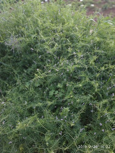 صورة عامة، شهر نيسان. هذه الصورة مرخصة تحت المشاع الاٍبداعي نسب المصنف - غير تجاري 4.0