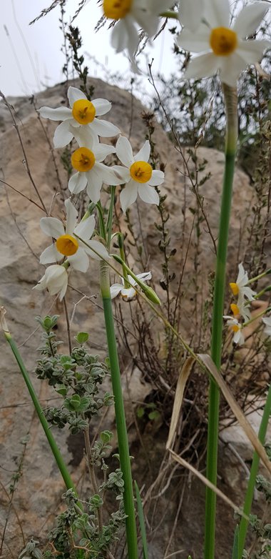 General View , December. This photo is available under the Creative Commons CC-BY-NC 4.0.