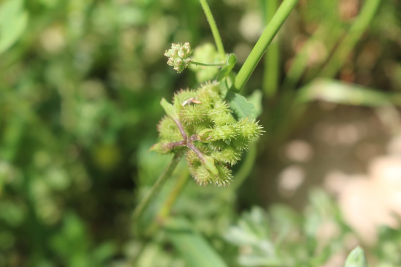 Flower, April. This photo is available under the Creative Commons CC-BY-NC 4.0.