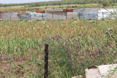 صورة عامة، شهر أيار. هذه الصورة مرخصة تحت المشاع الاٍبداعي نسب المصنف - غير تجاري 4.0