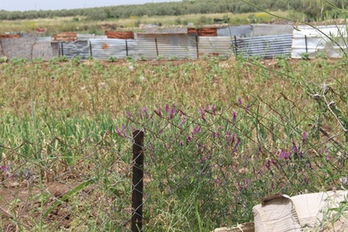 General View, May. This photo is available under the Creative Commons CC-BY-NC 4.0.