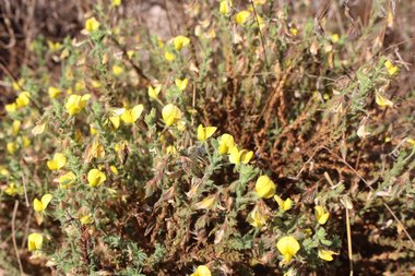 صورة عامة، شهر تشرين الأول. هذه الصورة مرخصة تحت المشاع الاٍبداعي نسب المصنف - غير تجاري 4.0