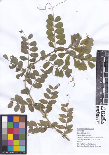 هذه الصورة مرخصة تحت المشاع الإبداعي نسب المصنف - غير تجاري 4.0