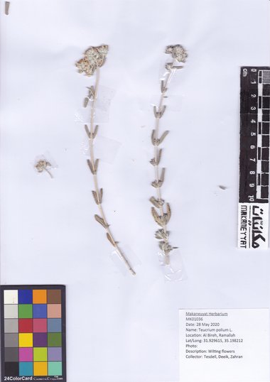 This photo is available under the Creative Commons CC-BY-NC 4.0 License.