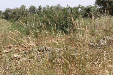 صورة عامة، شهر أيار. هذه الصورة مرخصة تحت المشاع الإبداعي نسب المصنف - غير تجاري 4.0