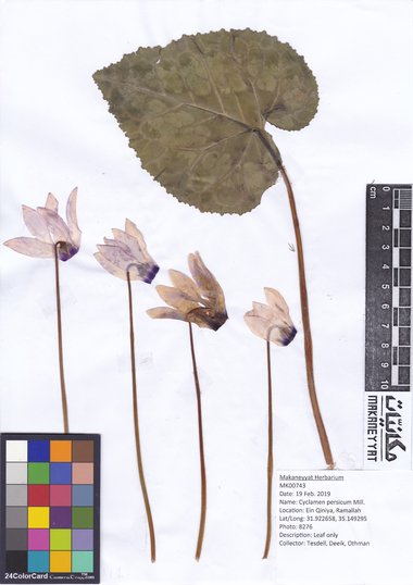 هذه الصورة مرخصة تحت المشاع الإبداعي نسب المصنف - غير تجاري 4.0 .