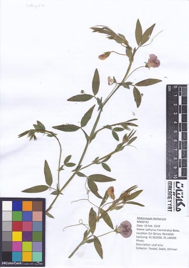 هذه الصورة مرخصة تحت المشاع الإبداعي نسب المصنف - غير تجاري 4.0 .