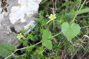 General View, February. This photo is available under the Creative Commons CC-BY-NC 4.0 License.