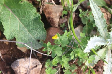 General View, March. This photo is available under the Creative Commons CC-BY-NC 4.0 License.