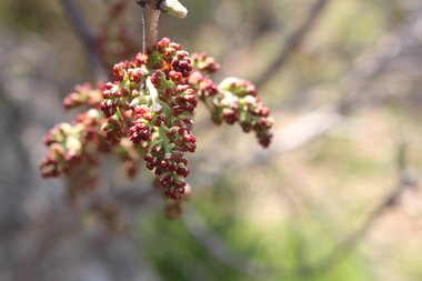 Flowers, November. This photo is available under the Creative Commons CC-BY-NC 4.0.