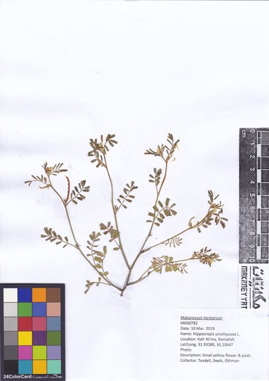 هذه الصورة مرخصة تحت المشاع الإبداعي نسب المصنف - غير تجاري 4.0