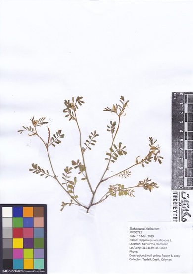 This photo is available under the Creative Commons CC-BY-NC 4.0 License.