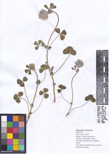 هذه الصورة مرخصة تحت المشاع الإبداعي نسب المصنف - غير تجاري 4.0