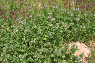 صورة عامة، شهر نيسان. هذه الصورة مرخصة تحت المشاع الاٍبداعي نسب المصنف - غير تجاري 4.0