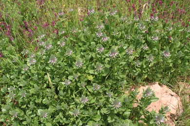 General View, April. This photo is available under the Creative Commons CC-BY-NC 4.0.